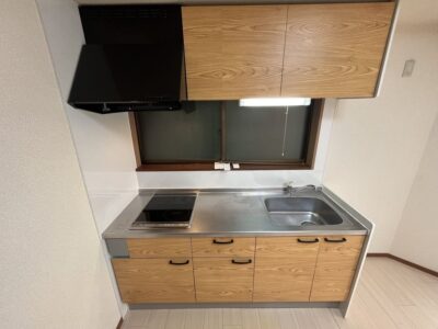 2DK Kanegafuchi (TobuSkytree) NODep 75%OFF W45