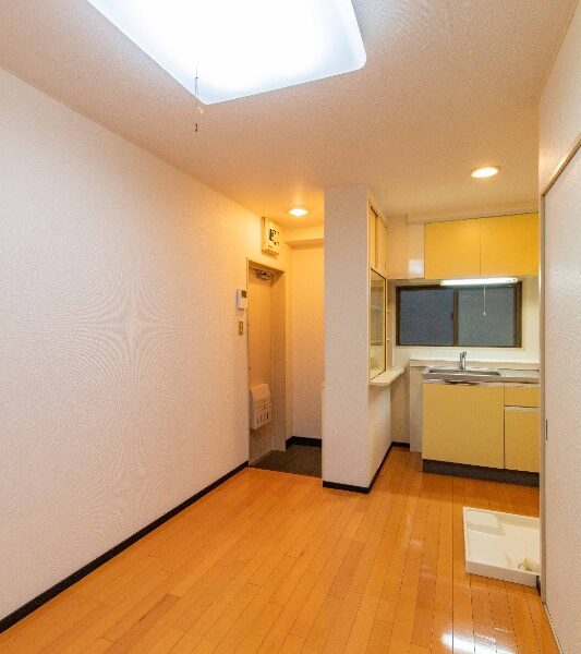 1LDK29 / MusashiShinjo5 / NOKey$ / CornerRoom F89