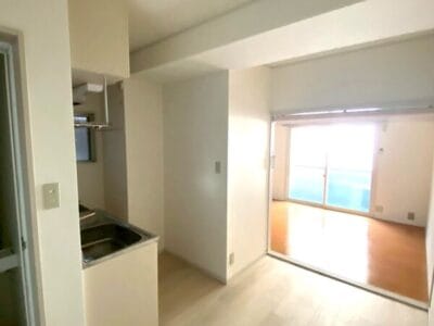1DK Pet OK Apt in Hatagaya S82 002