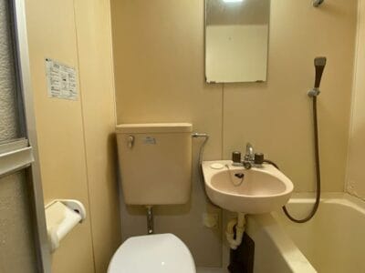 1K Loft Apt on Top Floor in Zoshiki W86