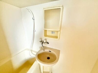 1DK Top Floor Apt with Separate BT in Shibamata R74 100