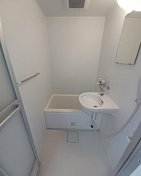 1DK APT on Top Floor in TogoshiGinza R85 101