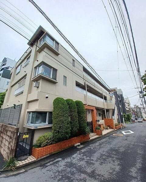 1DK APT on Top Floor in TogoshiGinza R85 101