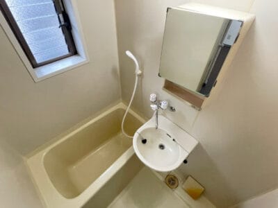 1LDK Pet OK Apt in Shibasaki W95 101