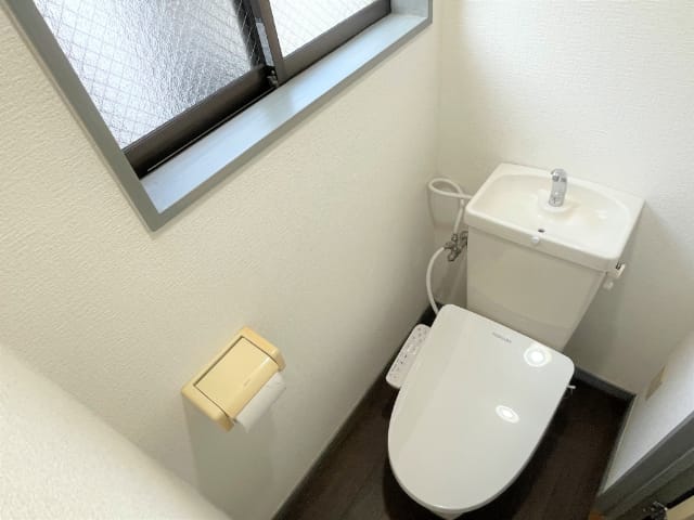 1LDK Pet OK Apt in Shibasaki W95 101