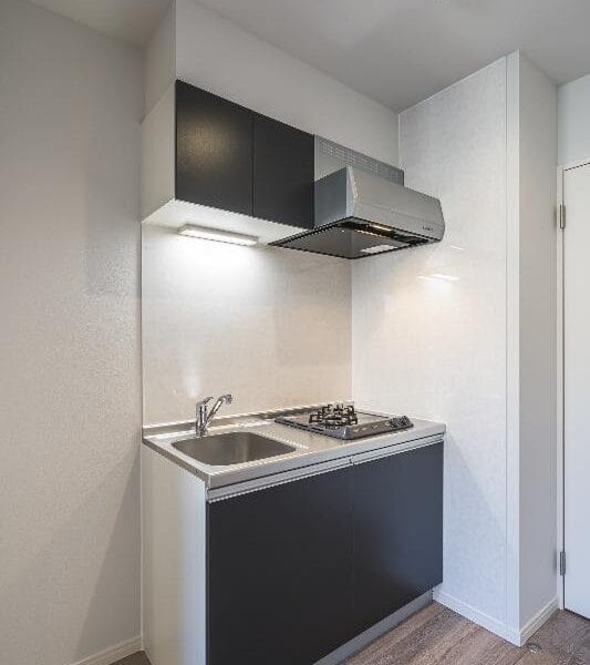 1LDK TobuNerima NOKey$ NODep W25001