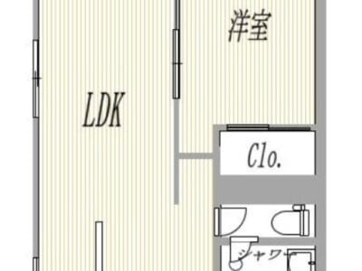 1LDK ShinOkubo NOKey$ FREENet R71100