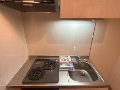 1K Hasune NODep StudentOK R07011