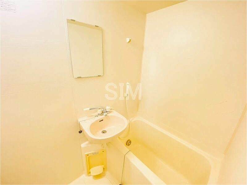 1DK SHINNAKANO NOKey$ CornerRoom W64111