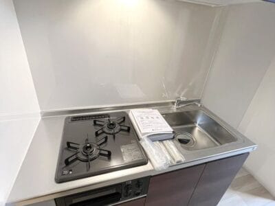 2K Motohasunuma NODep PetOK R24015