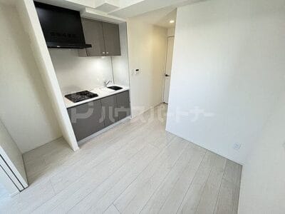 1DK Otsuka NOKey$ PetOK R25102