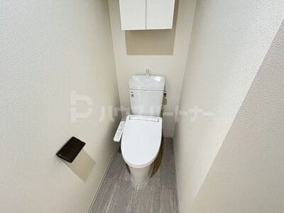 1DK Otsuka NOKey$ PetOK R25102