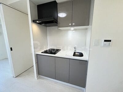 1DK Otsuka NOKey$ PetOK R25102