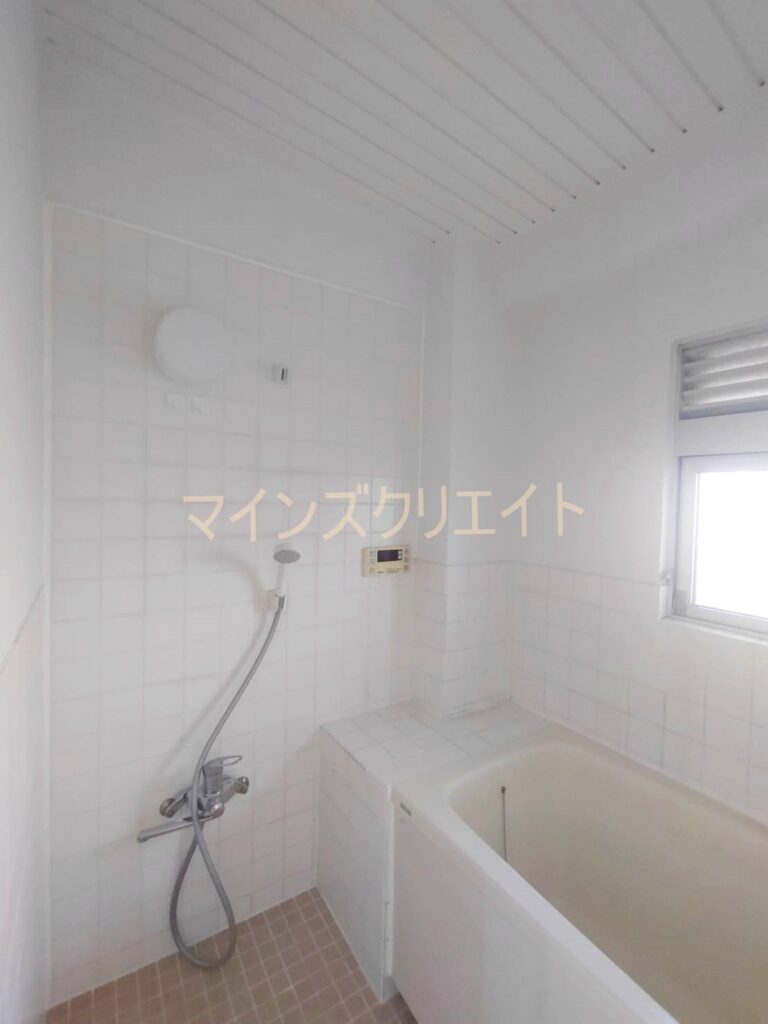 imgi_11_100500382380_5o