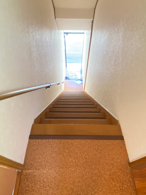 imgi_14_01KMMRJ9QBXWQ3CGX24XCR6HKV