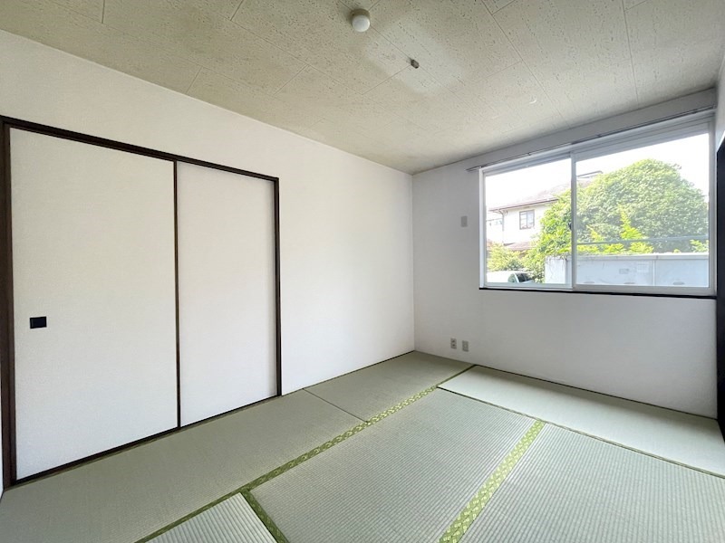 imgi_14_100490000716_4o