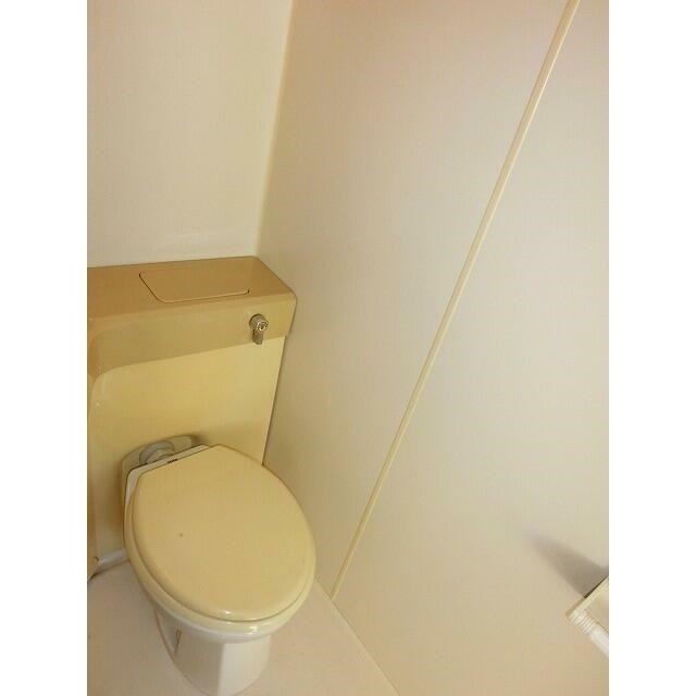 imgi_7_01KNTQDK9BW2NTJJXEGM0BEC76