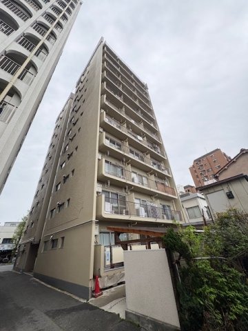 imgi_7_100500596042_go